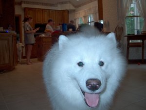 Flurry