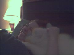 Bedtime