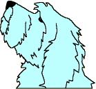 Furry dog