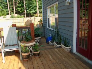 Lower Deck
