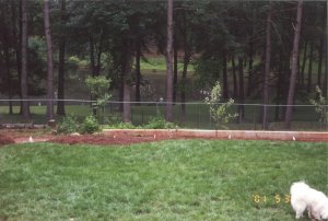 Yard