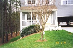 Front 1999