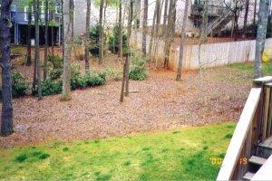 The Yard
