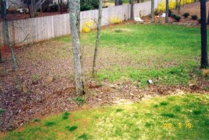 The Yard