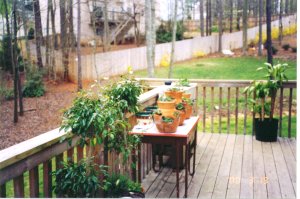 The Yard